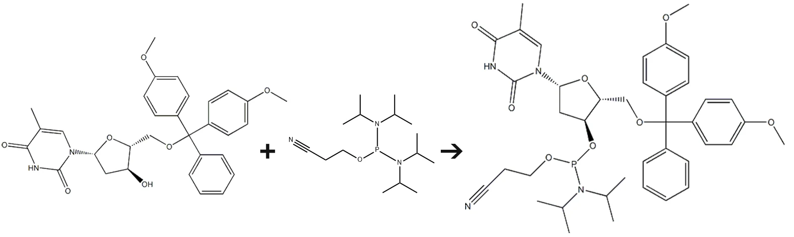 DMT-dT-CE-Phosphoramidite